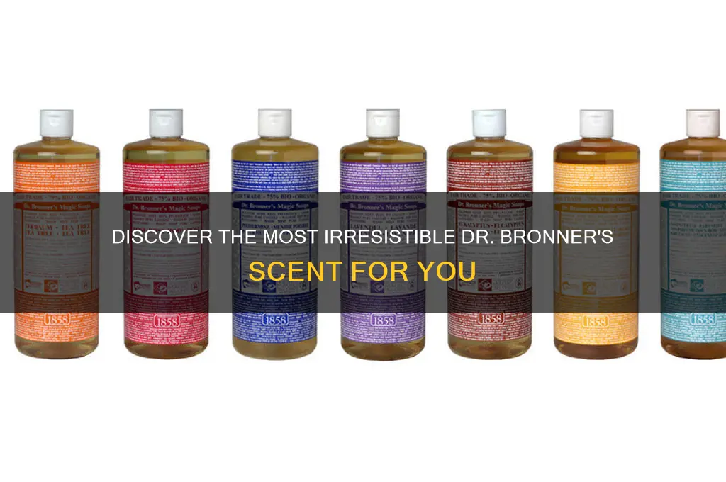 what is the best dr bronner