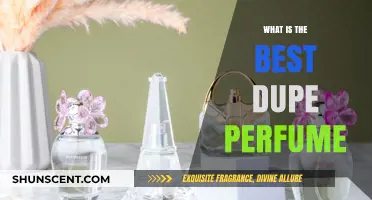 Affordable Scents: Dupes for Expensive Perfumes