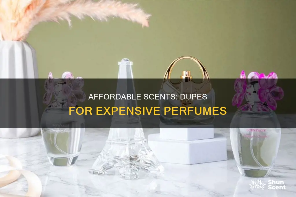 what is the best dupe perfume