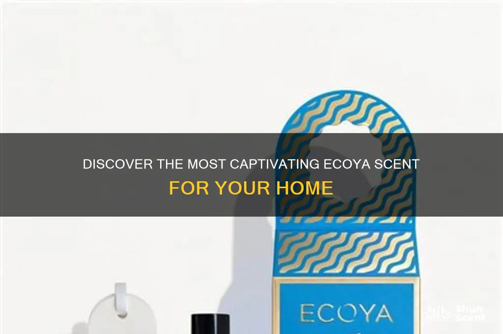 what is the best ecoya scent