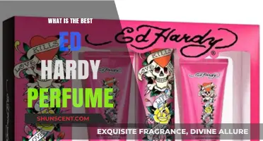 Ed Hardy Perfumes: The Best Scents for You