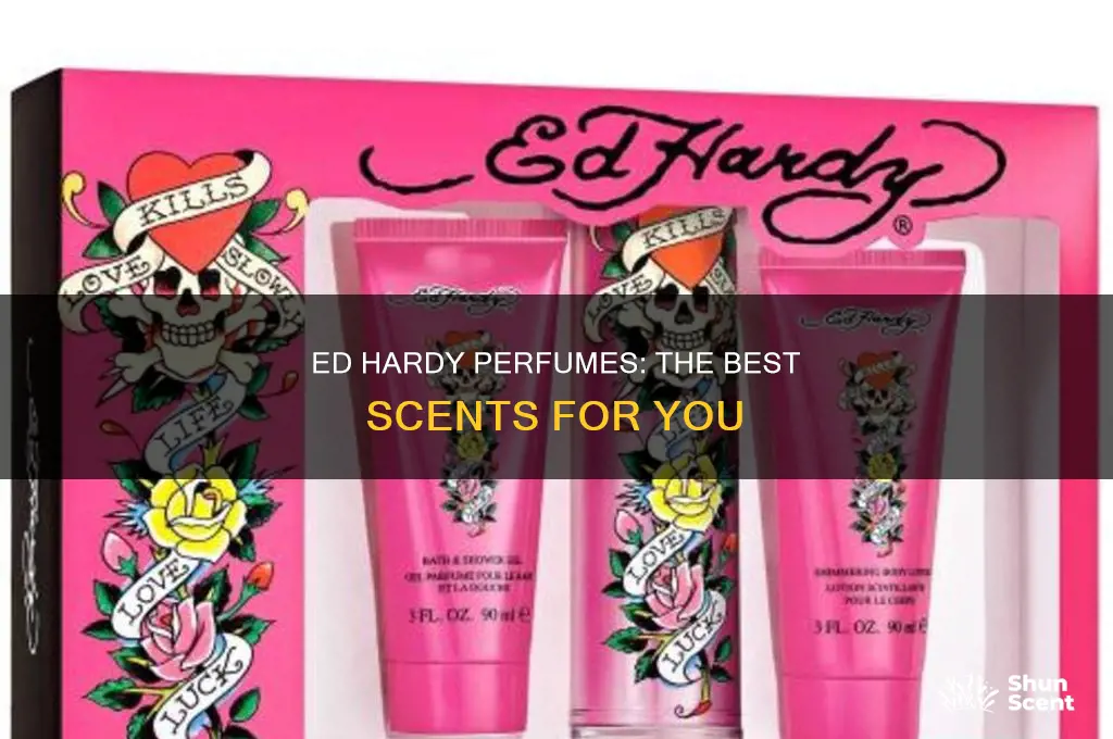 what is the best ed hardy perfume