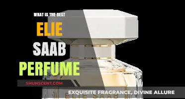 Discover the Best Elie Saab Scents