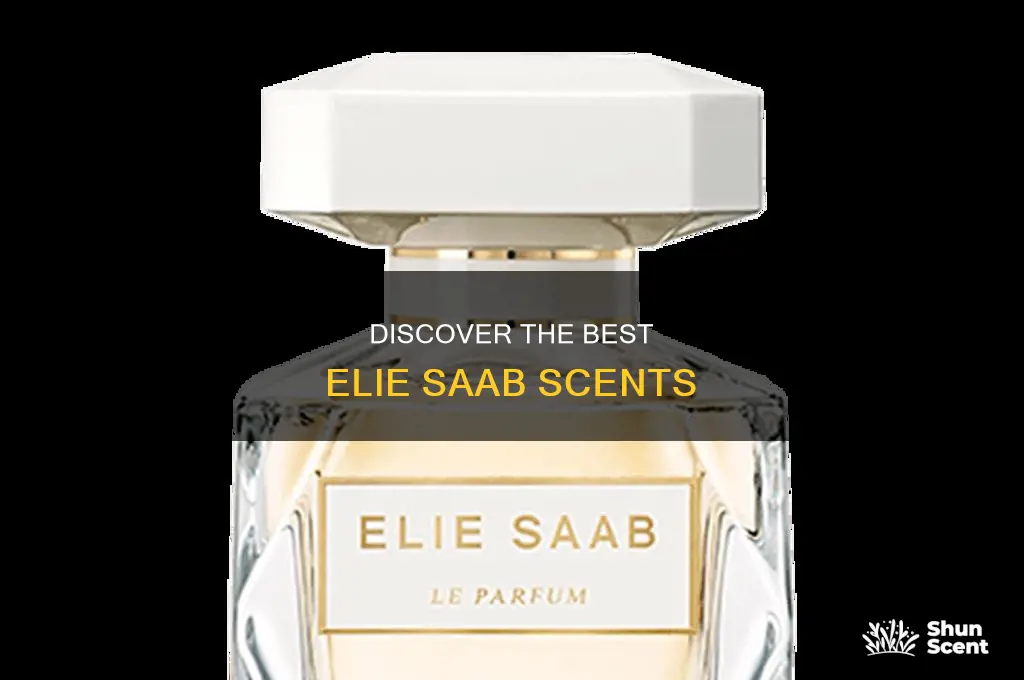 what is the best elie saab perfume