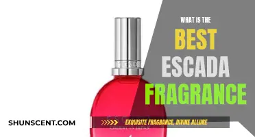 The Best Escada Fragrances: Our Top Picks