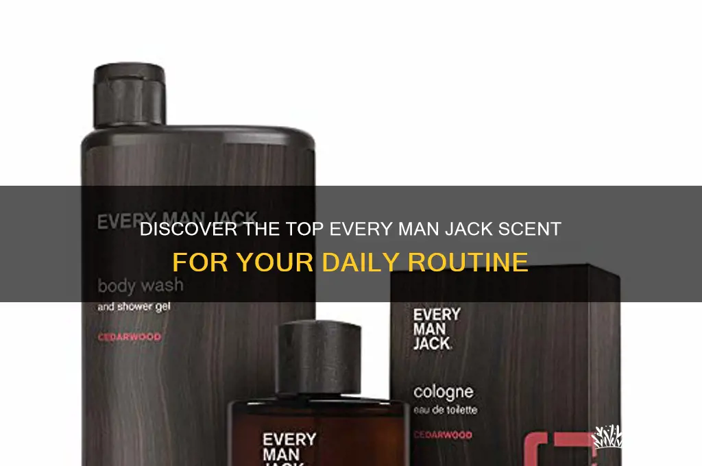 what is the best every man jack scent