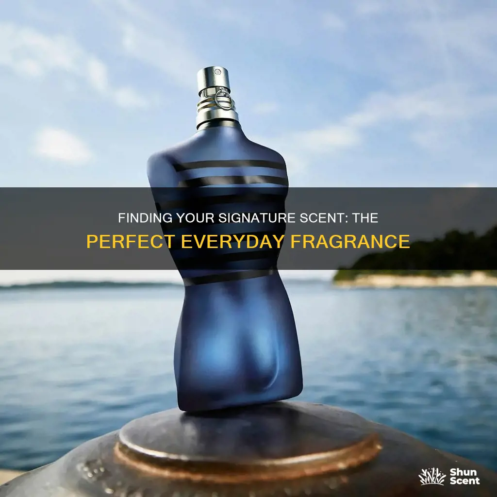 what is the best everyday fragrance