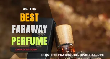 Faraway Fragrances: Which Scents Travel the Best?