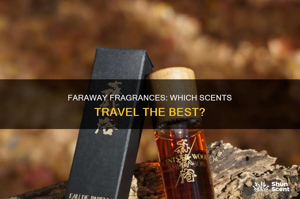 what is the best faraway perfume