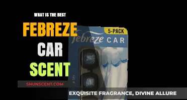 Discover the Best Febreze Car Scent for a Fresh Ride