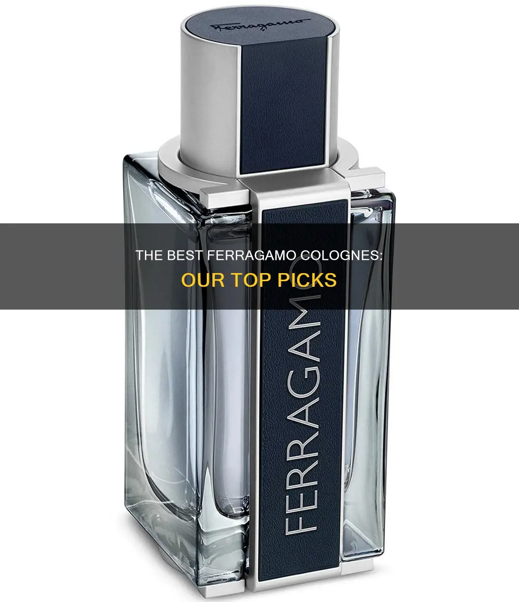 what is the best ferragamo cologne