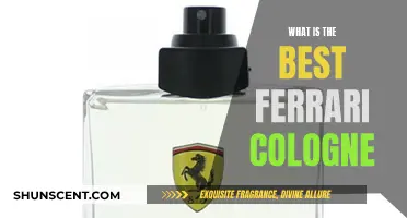 The Ultimate Ferrari Fragrance for Men