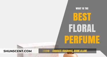 Floral Scents: Best Perfumes for Women