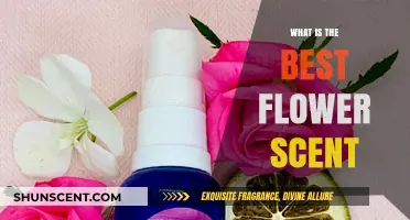 Discover the Most Enchanting Flower Scents for Your Home and Garden