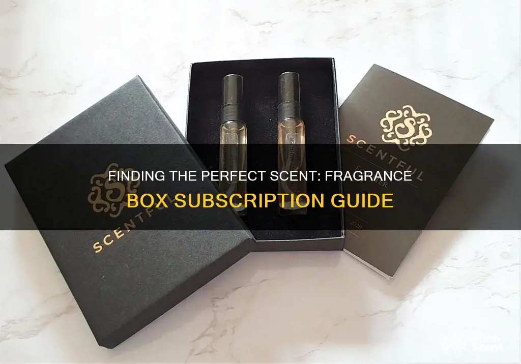 what is the best fragrance box subscription
