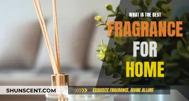 The Best Fragrance for Home: Finding Your Signature Scent