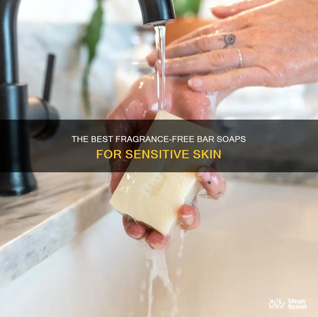 what is the best fragrance free bar soap