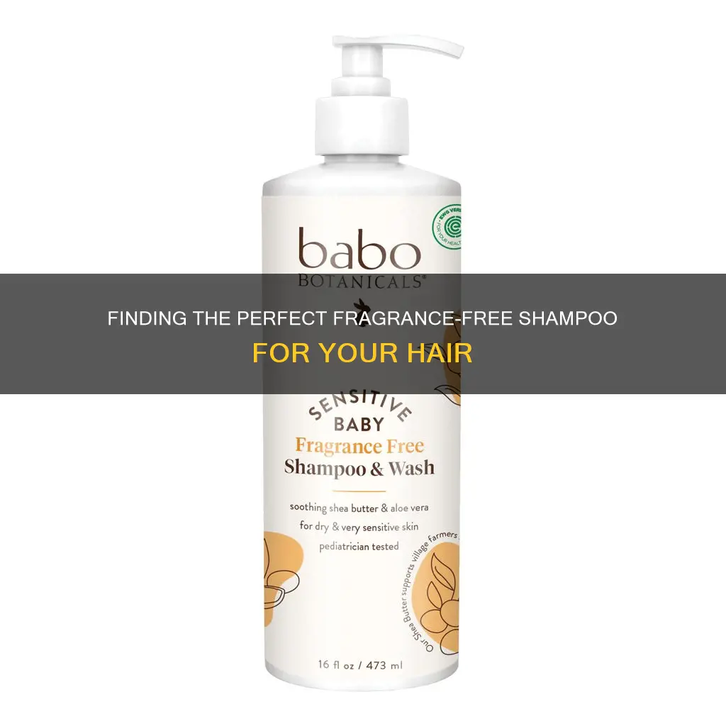 what is the best fragrance free shampoo