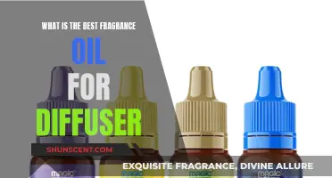 Best Fragrance Oils for Diffusers: Relaxing Aromatic Scents