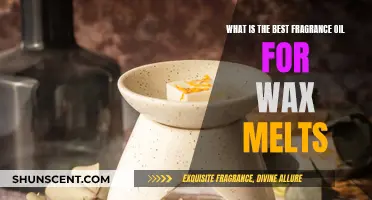 Best Fragrance Oils for Wax Melts: Our Top Picks