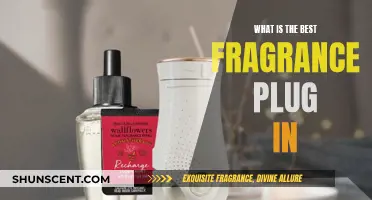 The Best Fragrance Plug-ins: Enhance Your Space