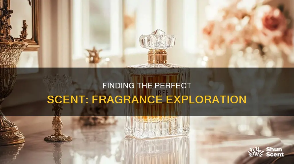 what is the best fragrance