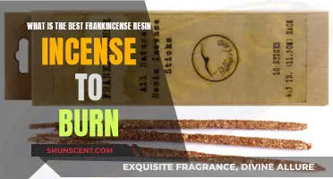 Best Frankincense Resin Incense for a Soothing Experience