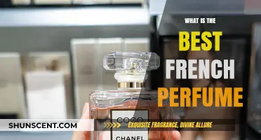 French Fragrance Favorites: The Best Perfumes to Wear