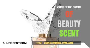 Discover the Most Captivating Function of Beauty Scent for You