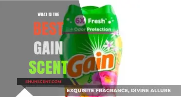 Discover the Ultimate Gain Scent for Fresh, Long-Lasting Laundry Bliss