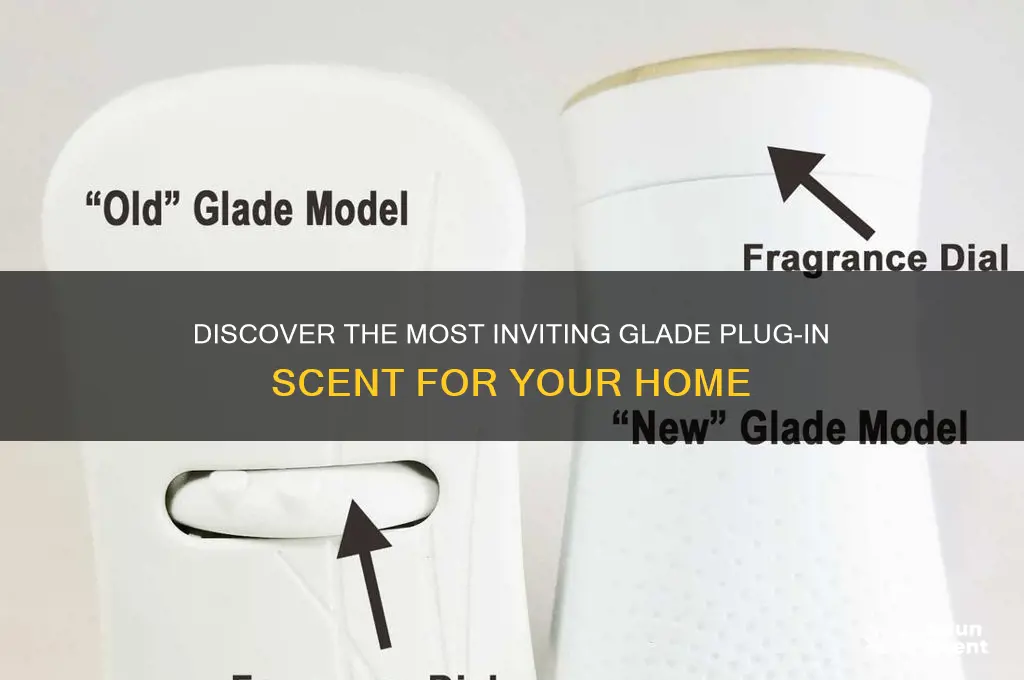 what is the best glade plug in scent