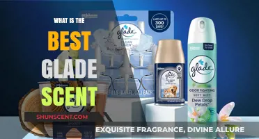 Discover the Perfect Glade Scent for Your Home Ambiance