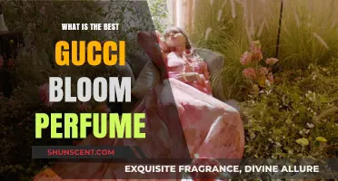 Gucci Bloom Perfumes: Find Your Signature Scent