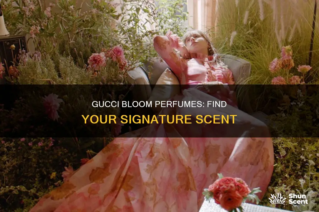 what is the best gucci bloom perfume