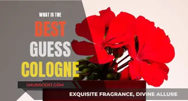 Guess Seductive Cologne: The Ultimate Fragrance for Men