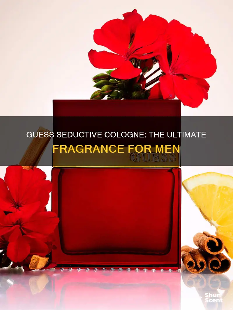 what is the best guess cologne