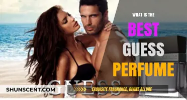 Guess Perfumes: Which Scents Should You Choose?
