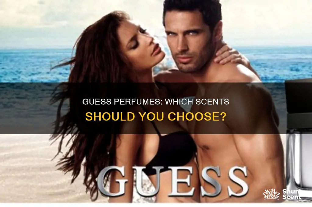 what is the best guess perfume