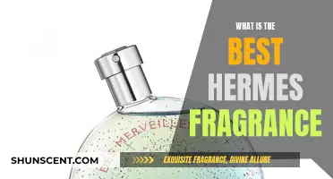 The Ultimate Guide to Finding Your Signature Hermes Scent