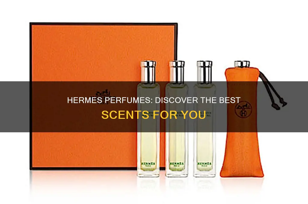 what is the best hermes perfume