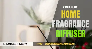 Home Fragrance Diffusers: Elevate Your Space