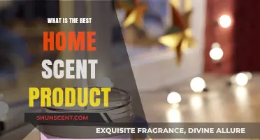 Discover the Perfect Home Scent Product for a Cozy Ambiance