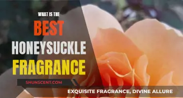 The Sweet Smell of Success: Honeysuckle Fragrances