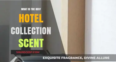 Discover the Most Luxurious Hotel Collection Scents for Ultimate Relaxation