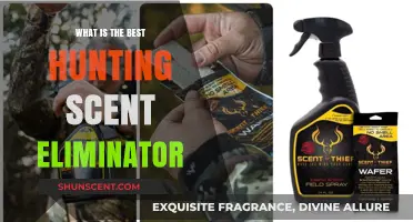 Top Hunting Scent Eliminators: Stay Undetected and Bag Your Trophy