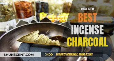 Best Charcoal Incense for a Fragrant Home