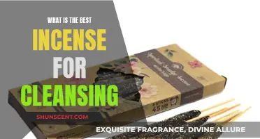 Incense for Cleansing: The Best Scents for Purification