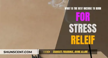 Best Incense Scents for Stress Relief and Relaxation