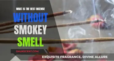 Best Incense for a Smoke-Free Fragrance Experience