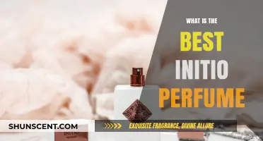 The Ultimate Initio Perfume Guide